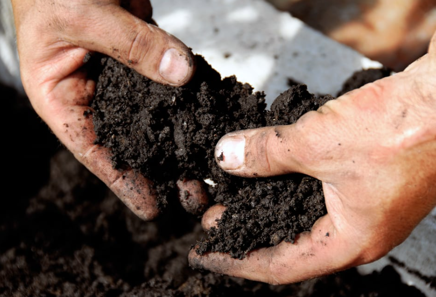 Soil Remediation and Sustainable Development